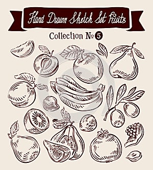 Hand drawn vector sketch collection fruit