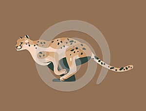 Hand drawn vector stock abstract graphic illustration with African wild running cheetah cartoon animal design isolated