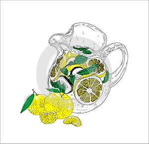 Hand drawn vector summer ice drink with cittrus. Lemon and mint. Detox water sketch. Linear illustration. - Vector