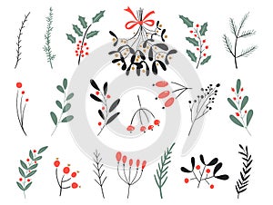 Hand drawn vector winter elements. Christmas floral. Christmas branches. Perfect for invitations, greeting cards