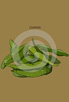 Hand drawn vegetable - edamame/soy beans.