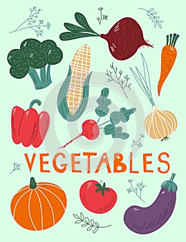 Hand drawn vegetable set with text. Cartoon style vector illustration isolated on white background. Fresh, organic