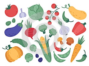 Hand drawn vegetables. Farm veggies, cartoon natural products, fresh food and vegetarian vitamins diet. Doodle organic