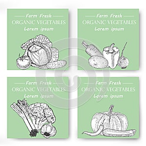 Hand drawn vegetables posters set. Vector