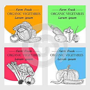 Hand drawn vegetables posters set. Vector