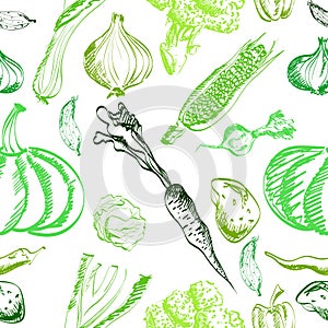 Hand drawn vegetables set on a background. Vector