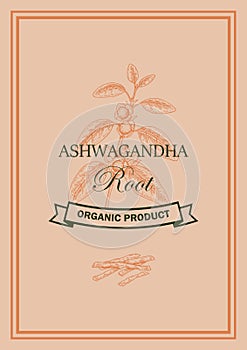Hand drawn vertical Ashwagandha design with branches and berries isolated on white background. Vector illustration in sketch style