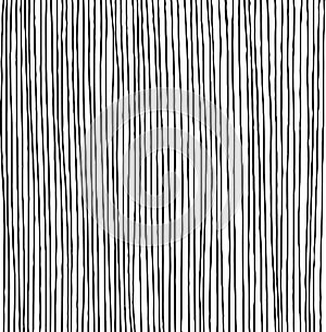 Hand drawn vertical parallel thin black lines on white background. Straight lines pen sketch for graphic design photo