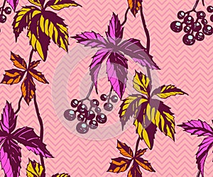 Hand drawn vine grapes decorative background. Ethnic seamless pattern ornament. Vector pattern