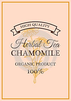 Hand drawn vintage chamomile herbal tea packaging design. Vector illustration in sketch style