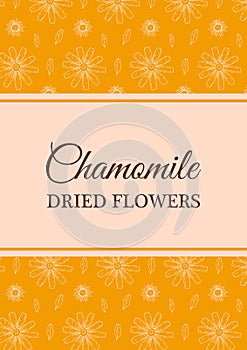 Hand drawn vintage chamomile herbal tea packaging design. Vector illustration in sketch style