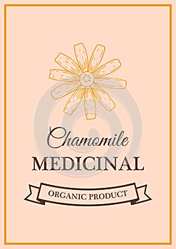 Hand drawn vintage chamomile herbal tea packaging design. Vector illustration in sketch style