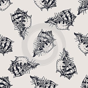 Hand drawn vintage exotic shell abstract pattern