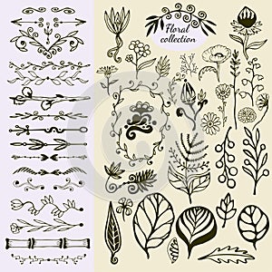 Hand Drawn vintage floral elements. Big set of wild flowers, leaves, swirls, border. Decorative doodle elements