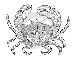 Hand drawn vintage graphic illustration with realistic crab. Marine creature. Vintage engraving illustration art