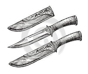 Hand-drawn vintage knife. Sketch edged weapon. Vector illustration