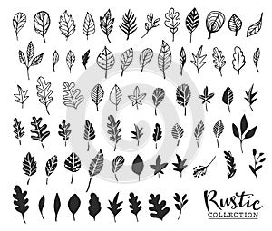 Hand drawn vintage leaves. Rustic decorative vector design