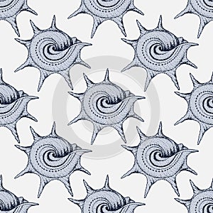 Hand drawn vintage sea shell pattern