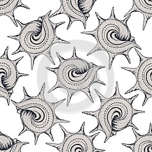 Hand drawn vintage sea shell pattern