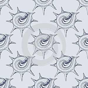 Hand drawn vintage sea shell pattern