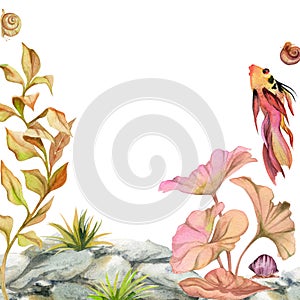 Hand drawn watercolor aquarium fish, algae and sealife snails on rocks. Marine exotic underwater illustration. Isolated