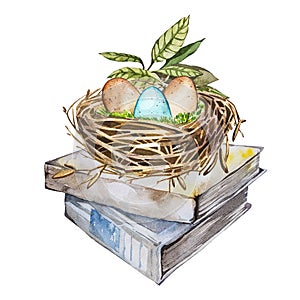 Hand drawn watercolor art bird nest with eggs on the books, easter design. illustration on white background.