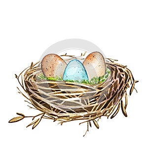 Hand drawn watercolor art bird nest with eggs , easter design. illustration on white background.
