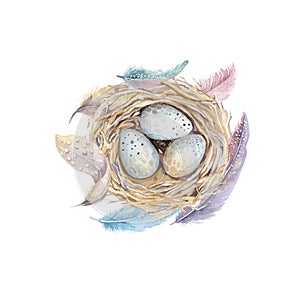 Hand drawn watercolor art bird nest with eggs , easter design.