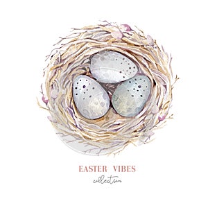 Hand drawn watercolor bird nest with eggs, easter spring design