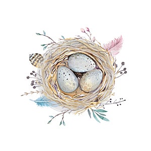 Hand drawn watercolor art bird nest with eggs , easter design.