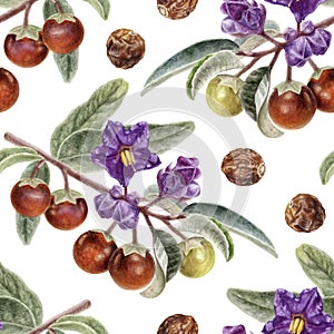 Hand drawn watercolor Australian spice plant Solanum centrale seamless pattern isolated on white.
