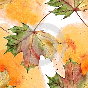 Hand drawn watercolor autumn leaf seamless pattern with watercolor spine on white background.