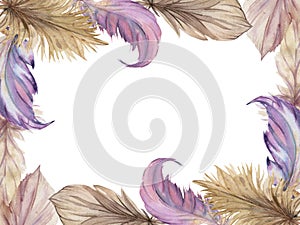 Hand drawn watercolor bird feather plume quill boho tribal ethnic indian beige. Horizontal frame isolated on white