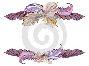 Hand drawn watercolor bird feather plume quill boho tribal ethnic indian beige. Horizontal frame isolated on white