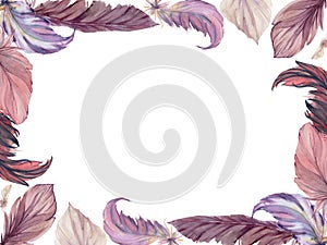 Hand drawn watercolor bird feather plume quill boho tribal ethnic indian purple. Horizontal frame isolated on white