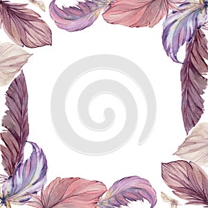 Hand drawn watercolor bird feather plume quill boho tribal ethnic indian purple. Square frame isolated on white