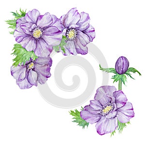Hand drawn watercolor border of purple anemones with green leaves. Spring compositioin for wedding invitations, greeting cards