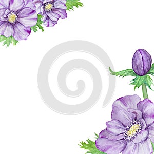 Hand drawn watercolor border of purple anemones with green leaves. Spring compositioin for wedding invitations, greeting cards