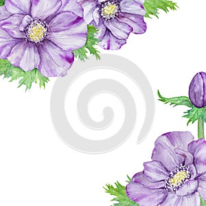 Hand drawn watercolor border of purple anemones with green leaves. Spring compositioin for wedding invitations, greeting cards