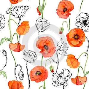 Hand drawn watercolor botanical illustration flowers leaves. Red poppy papaver, stems buds seedpods. Seamless pattern