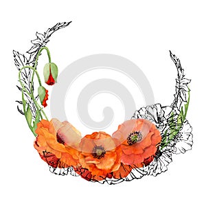 Hand drawn watercolor botanical illustration flowers leaves. Red poppy papaver, stems buds seedpods. Wreath frame