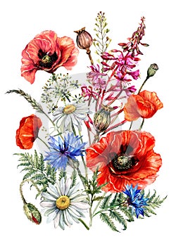 Handgemalt Aquarell aus sommer Blumen 
