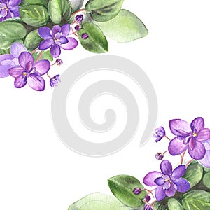 Hand drawn watercolor Card of African Violet Flowers. Illustration for your design.