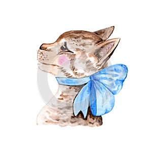 Hand Drawn watercolor cat with bow Illustration for card making, paper, textile, printing, packaging