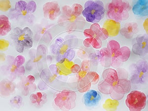 Hand drawn watercolor cute flowers on white paper