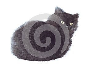 Hand drawn watercolor cute funny black cat on the white background. Isolated illustration.