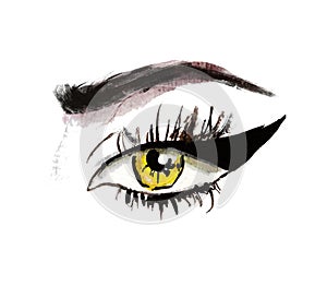 Hand drawn watercolor eyes. luxurious eye with perfectly shaped eyebrows and full lashes.