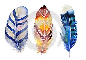 Hand drawn watercolor feather set. Boho style