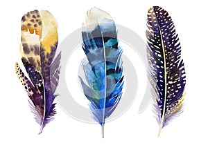 Hand drawn watercolor feather set. Boho style