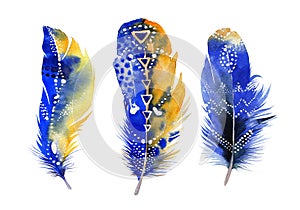 Hand drawn watercolor feather set. Boho style